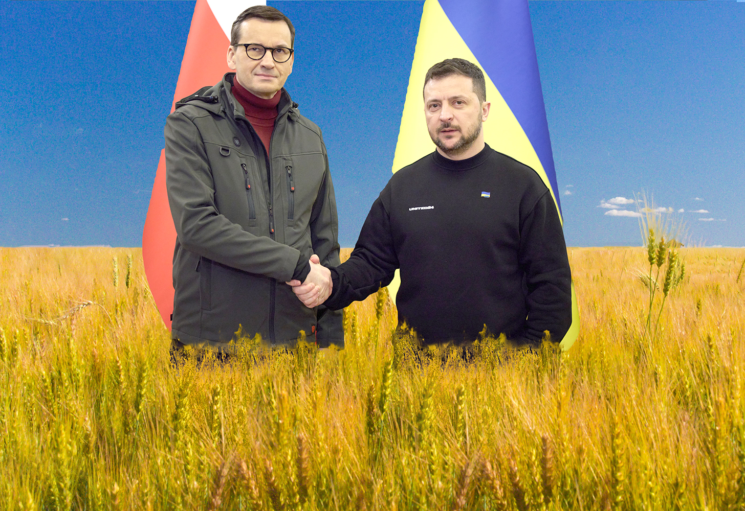 Poles Ukrainians Wheat Field Image own work